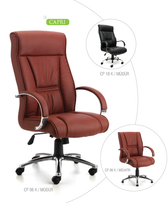 Ofis ve Büro Koltukları